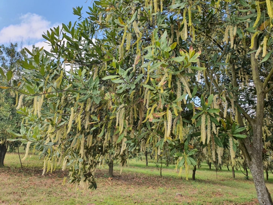 0 Bedroom Property for Sale in Hilltop Mpumalanga