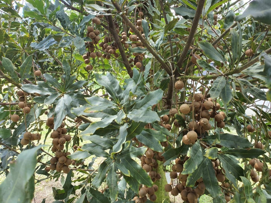 0 Bedroom Property for Sale in Hilltop Mpumalanga