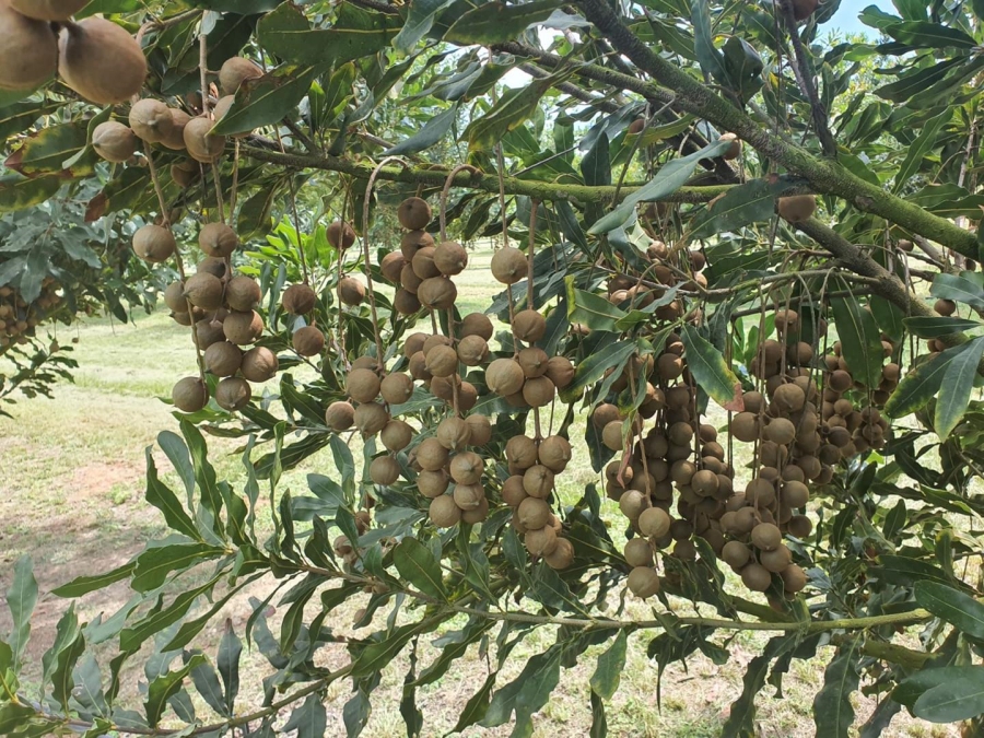 0 Bedroom Property for Sale in Hilltop Mpumalanga