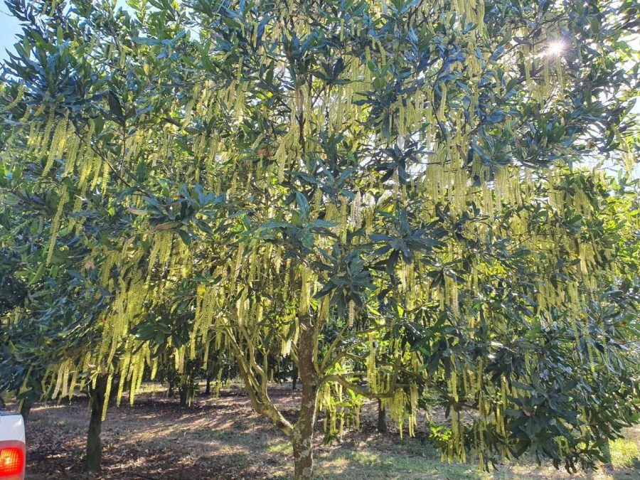 0 Bedroom Property for Sale in Hilltop Mpumalanga