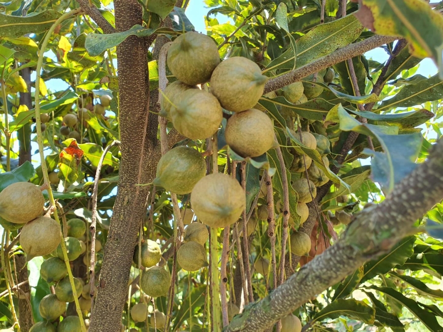 0 Bedroom Property for Sale in Hilltop Mpumalanga