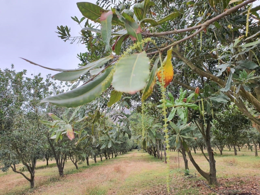 0 Bedroom Property for Sale in Hilltop Mpumalanga