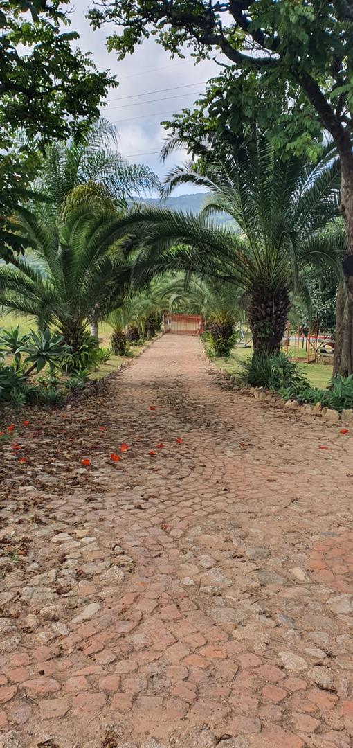 0 Bedroom Property for Sale in Hilltop Mpumalanga