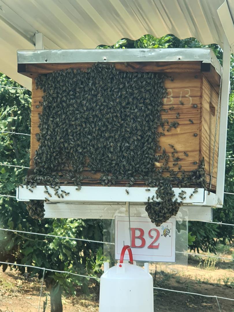 0 Bedroom Property for Sale in Hilltop Mpumalanga