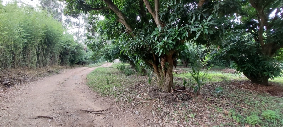 0 Bedroom Property for Sale in Nelspruit Rural Mpumalanga