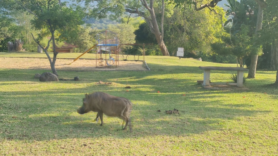 3 Bedroom Property for Sale in Wild Fig Country Estate Mpumalanga