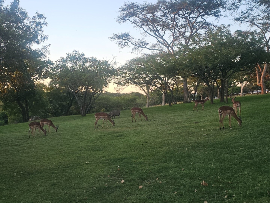 3 Bedroom Property for Sale in Wild Fig Country Estate Mpumalanga