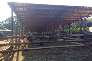 Commercial Property for Sale in Lydenburg Rural Mpumalanga