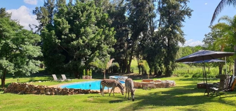 Commercial Property for Sale in Barberton Mpumalanga