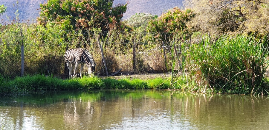 Commercial Property for Sale in Barberton Mpumalanga