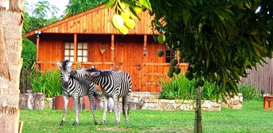 Commercial Property for Sale in Barberton Mpumalanga