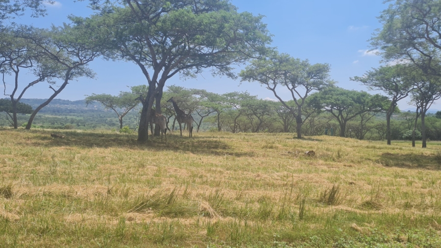 Commercial Property for Sale in Wild Fig Country Estate Mpumalanga