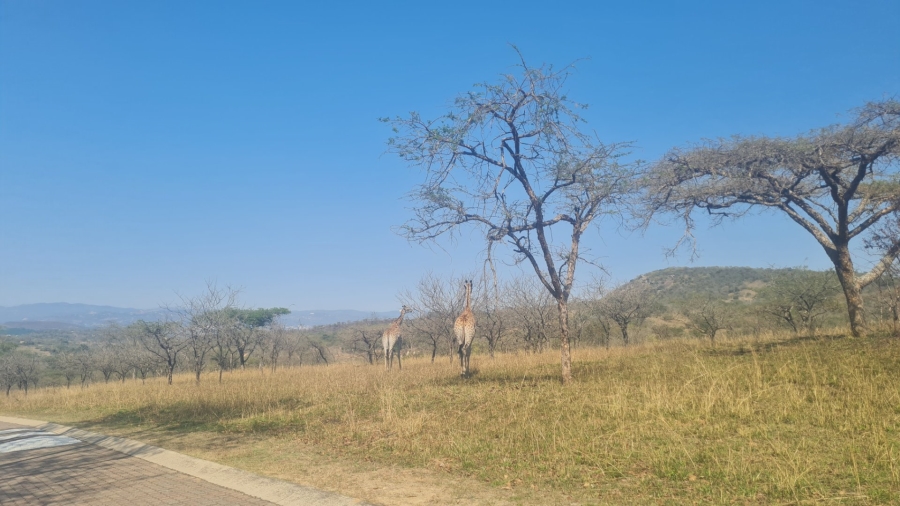 Commercial Property for Sale in Wild Fig Country Estate Mpumalanga