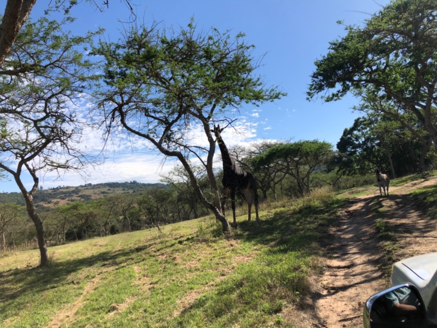 Commercial Property for Sale in Wild Fig Country Estate Mpumalanga