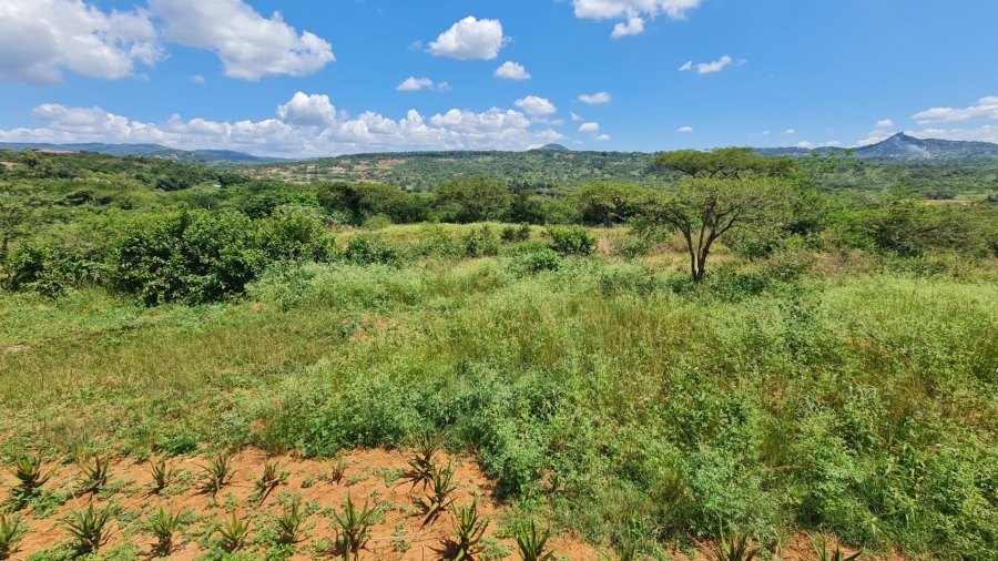 4 Bedroom Property for Sale in Ntulo Wildlife Estate Mpumalanga