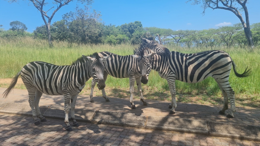 4 Bedroom Property for Sale in Ntulo Wildlife Estate Mpumalanga