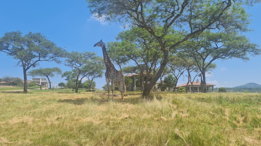 4 Bedroom Property for Sale in Ntulo Wildlife Estate Mpumalanga