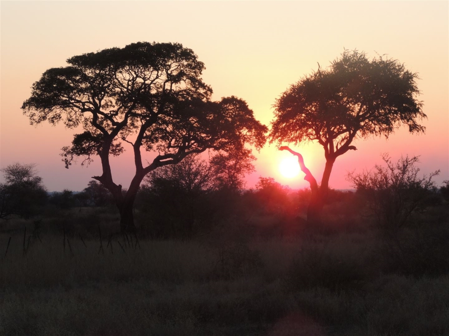 0 Bedroom Property for Sale in Malelane Rural Mpumalanga