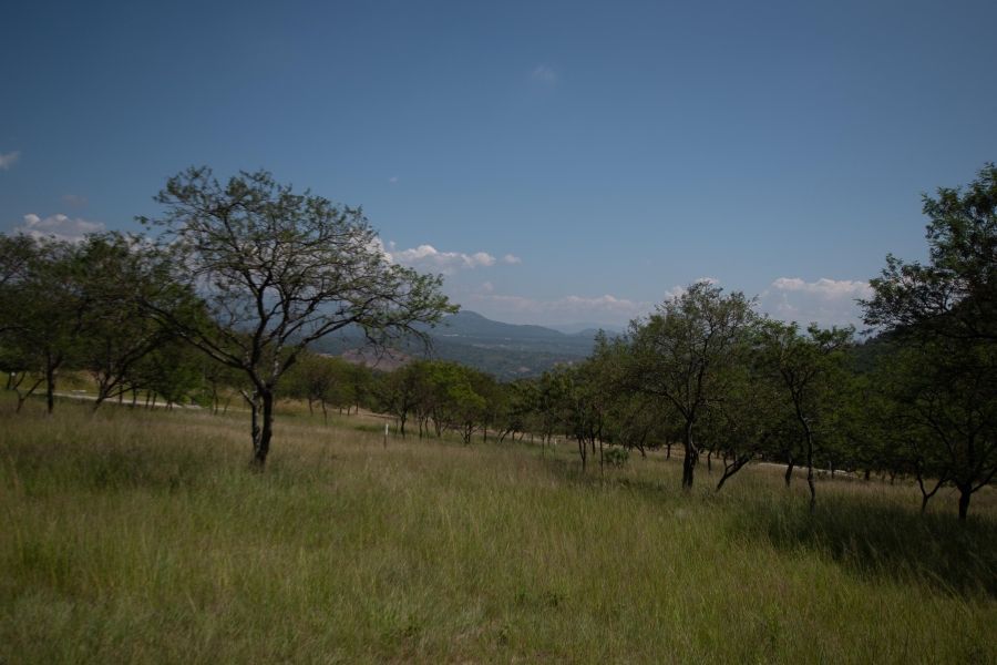 0 Bedroom Property for Sale in The Rest Nature Estate Mpumalanga