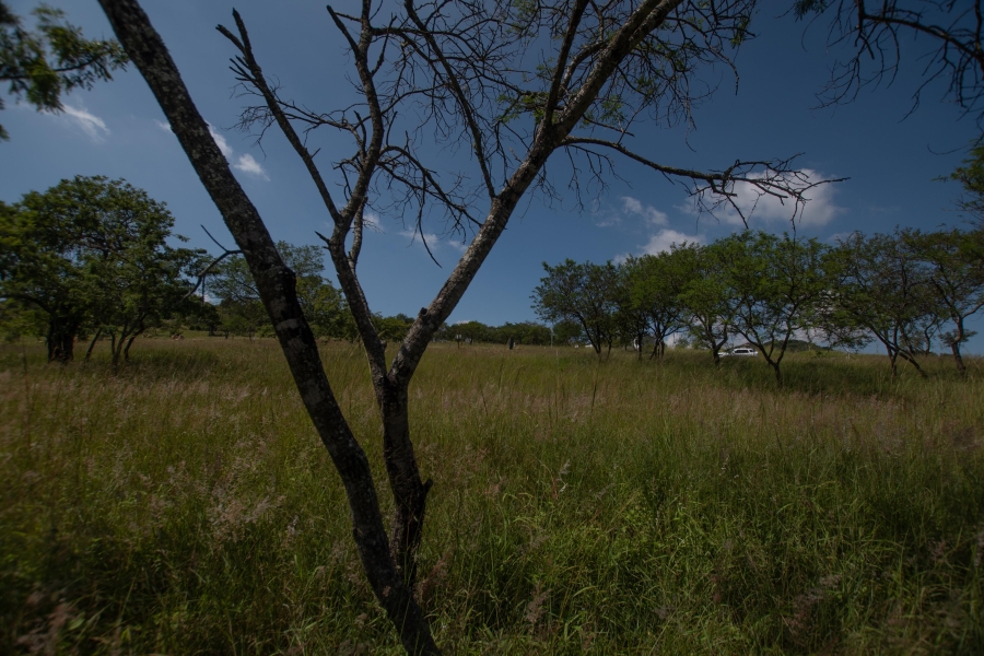 0 Bedroom Property for Sale in The Rest Nature Estate Mpumalanga