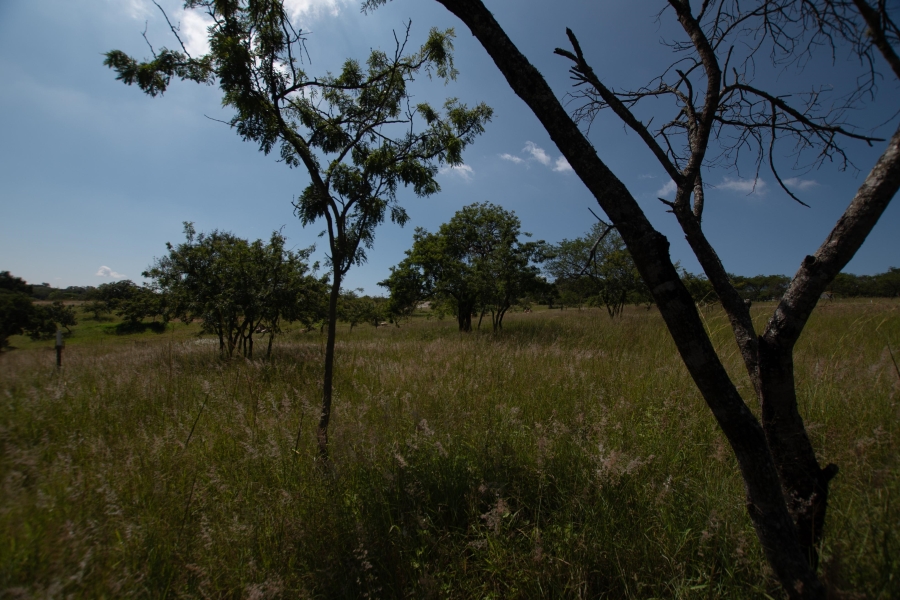 0 Bedroom Property for Sale in The Rest Nature Estate Mpumalanga