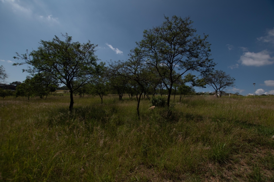 0 Bedroom Property for Sale in The Rest Nature Estate Mpumalanga