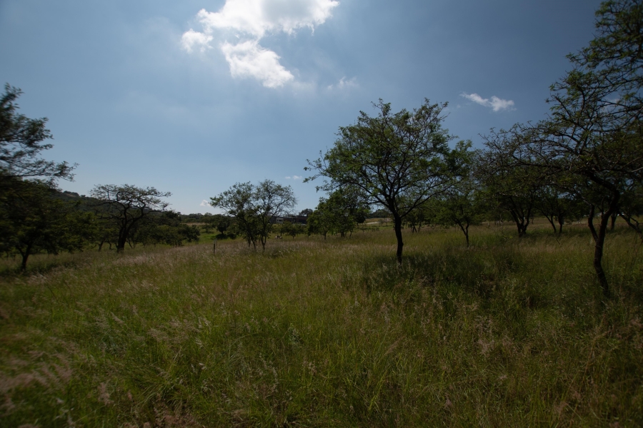 0 Bedroom Property for Sale in The Rest Nature Estate Mpumalanga