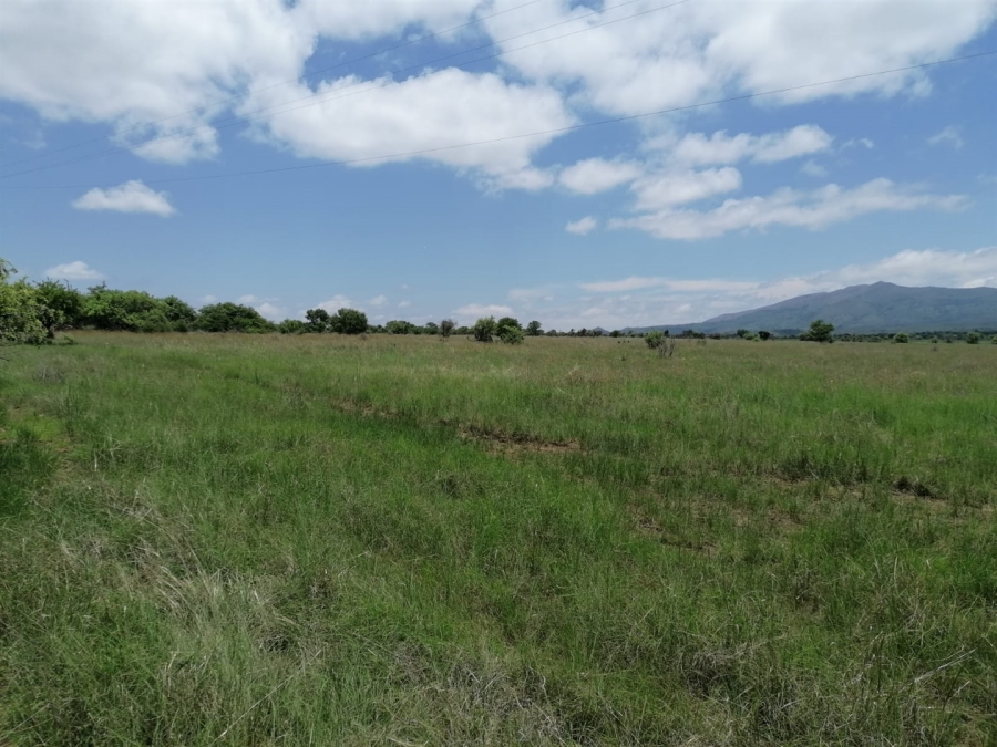 Commercial Property for Sale in Lydenburg Mpumalanga