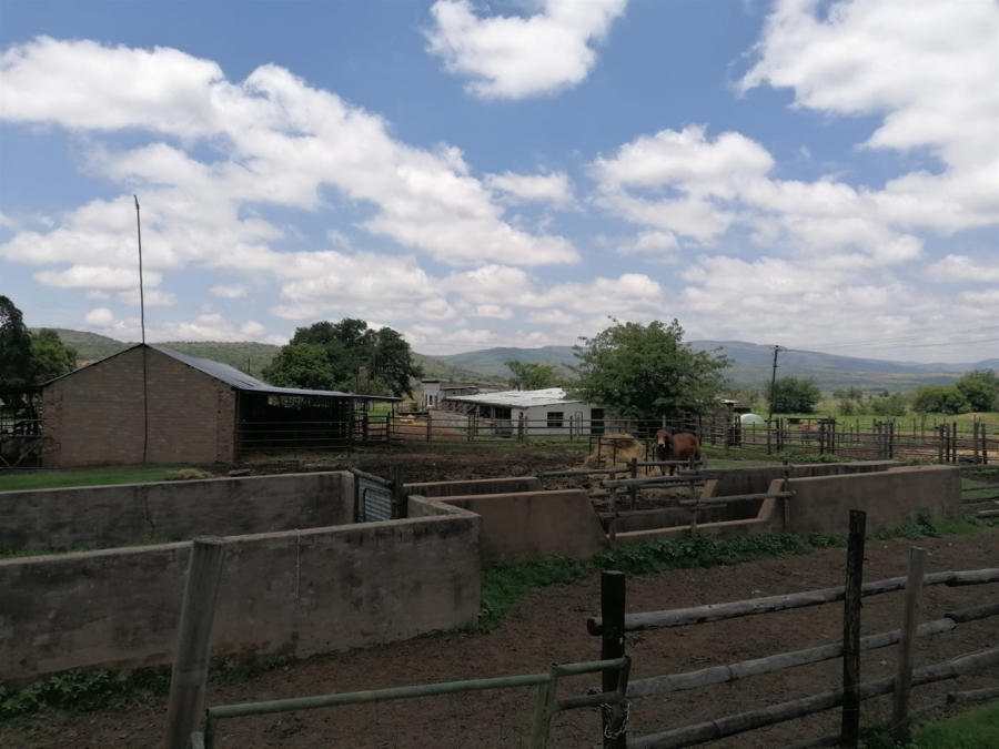 Commercial Property for Sale in Lydenburg Mpumalanga