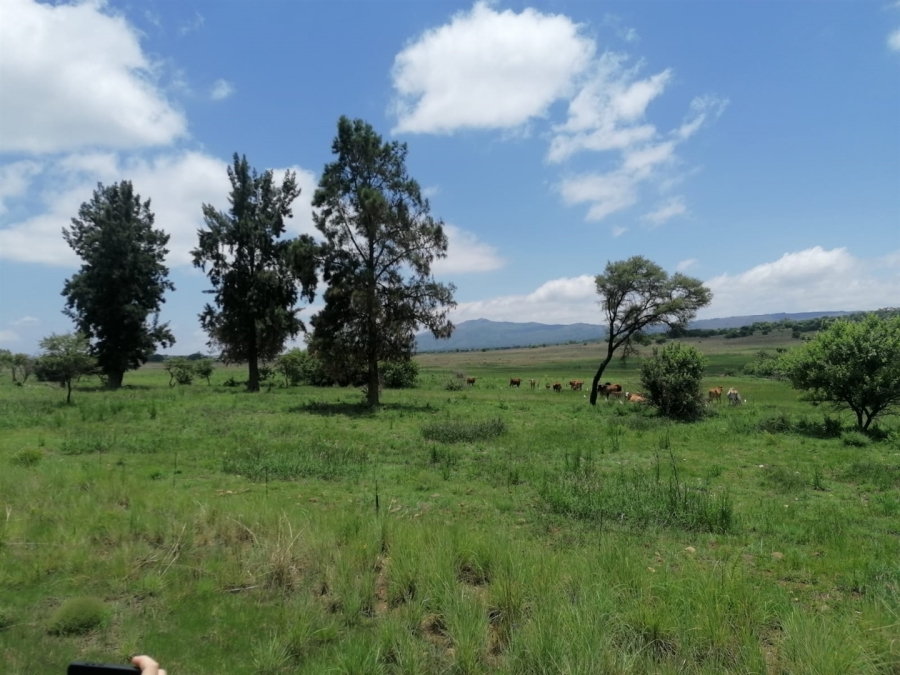 Commercial Property for Sale in Lydenburg Mpumalanga