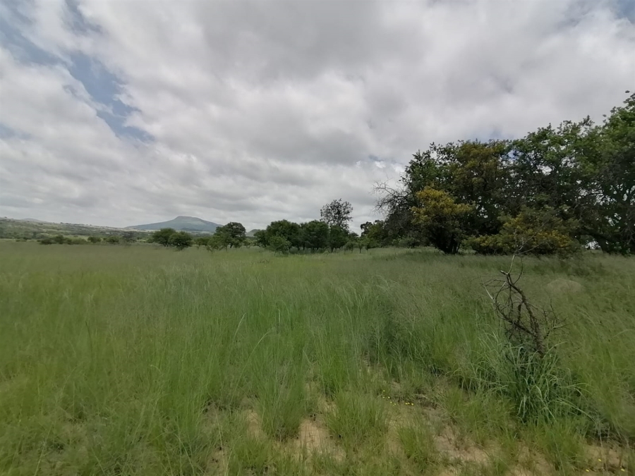 Commercial Property for Sale in Lydenburg Mpumalanga