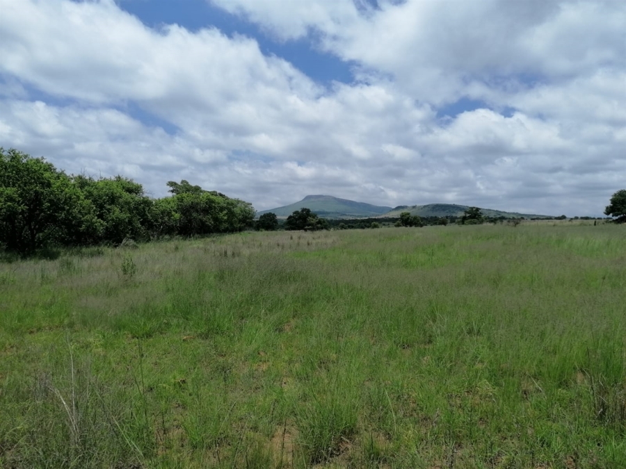 Commercial Property for Sale in Lydenburg Mpumalanga
