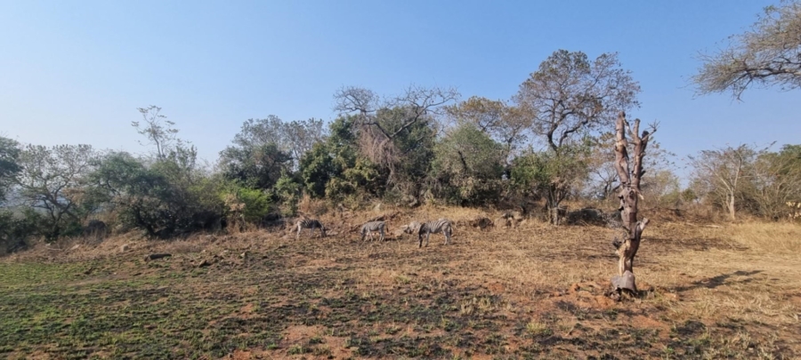 5 Bedroom Property for Sale in Ntulo Wildlife Estate Mpumalanga