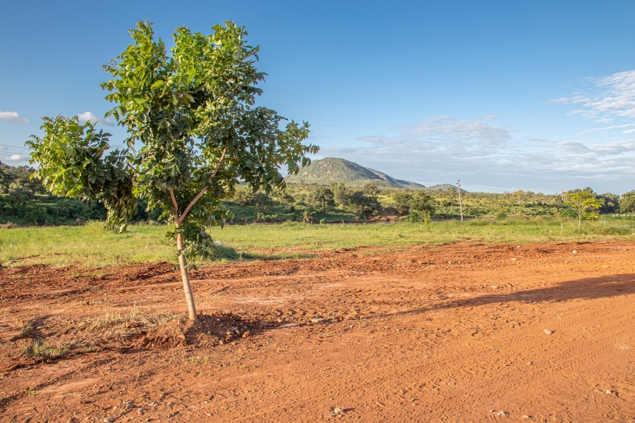 0 Bedroom Property for Sale in Malelane Mpumalanga