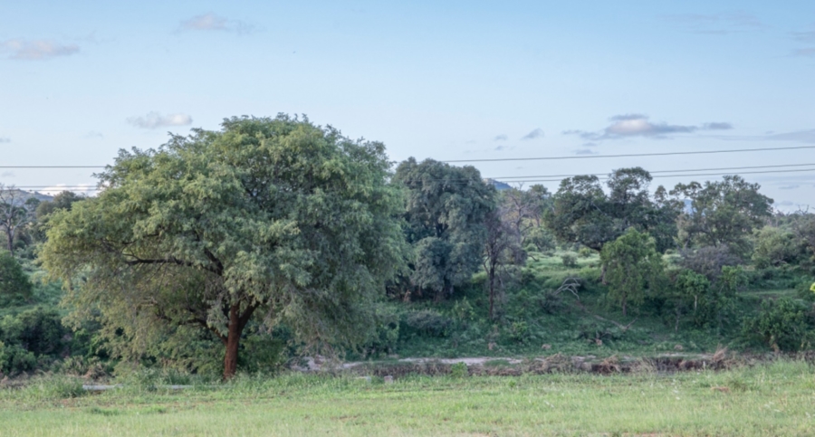 0 Bedroom Property for Sale in Malelane Mpumalanga