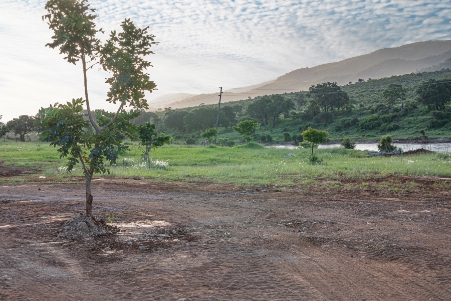 0 Bedroom Property for Sale in Malelane Mpumalanga