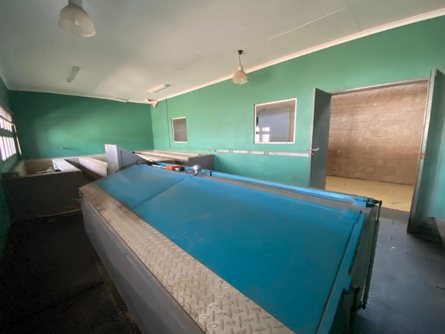 Commercial Property for Sale in Ben Fleur Mpumalanga