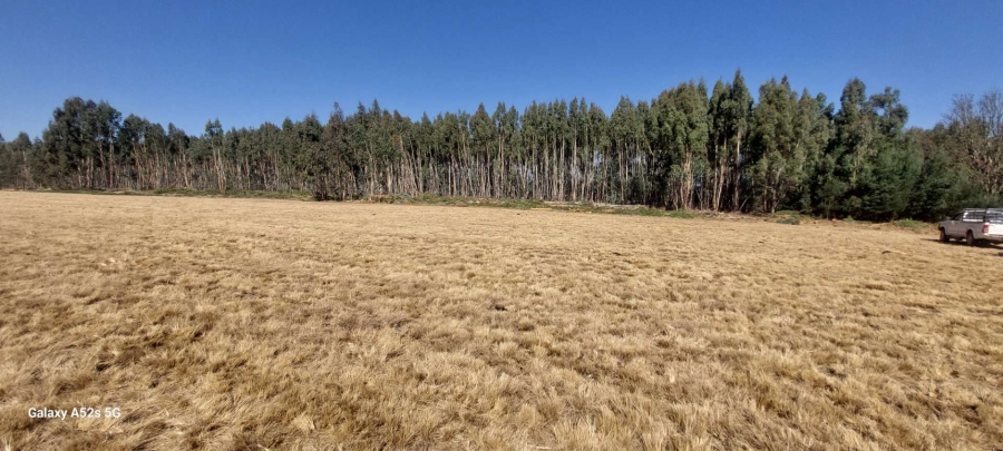 0 Bedroom Property for Sale in Dullstroom Mpumalanga