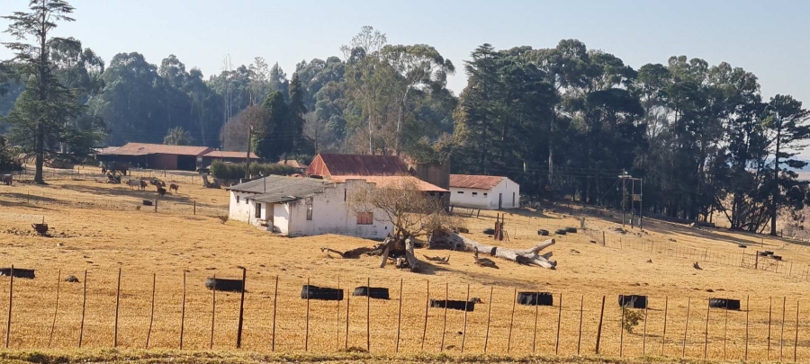 0 Bedroom Property for Sale in Dullstroom Mpumalanga