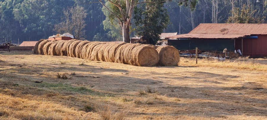 0 Bedroom Property for Sale in Dullstroom Mpumalanga