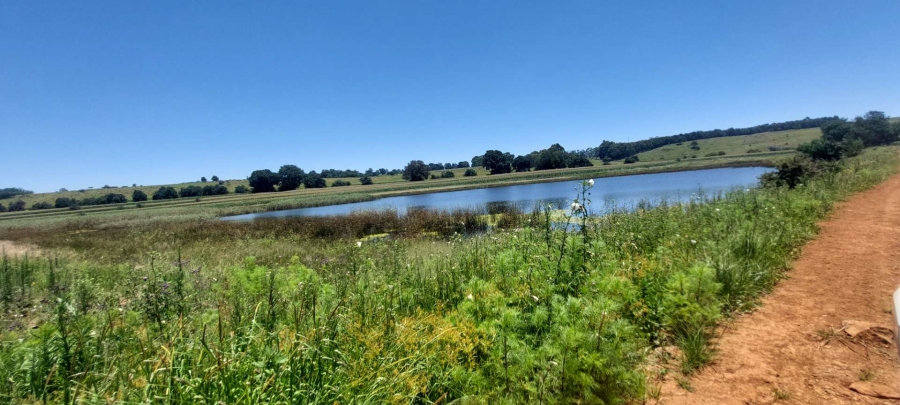 0 Bedroom Property for Sale in Dullstroom Mpumalanga