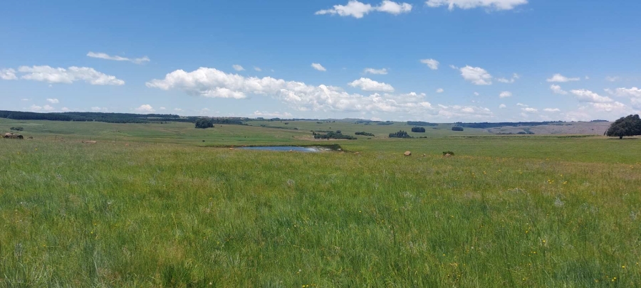 0 Bedroom Property for Sale in Dullstroom Mpumalanga