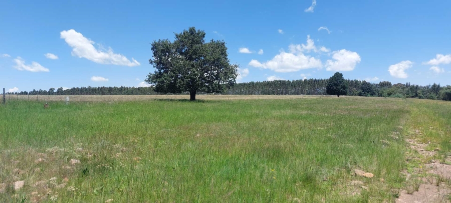 0 Bedroom Property for Sale in Dullstroom Mpumalanga