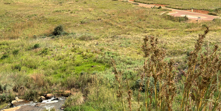 Commercial Property for Sale in Dullstroom Mpumalanga