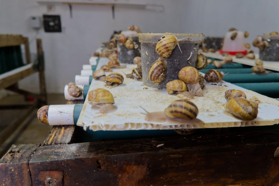 6 Bedroom Property for Sale in Granite Hill Mpumalanga