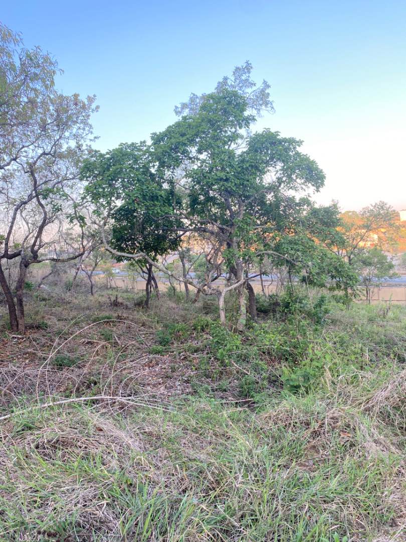 0 Bedroom Property for Sale in Drum Rock Mpumalanga