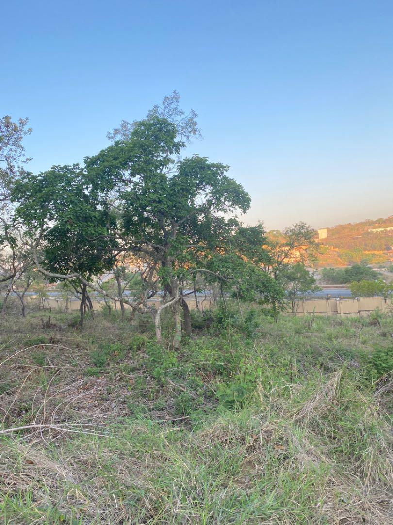 0 Bedroom Property for Sale in Drum Rock Mpumalanga