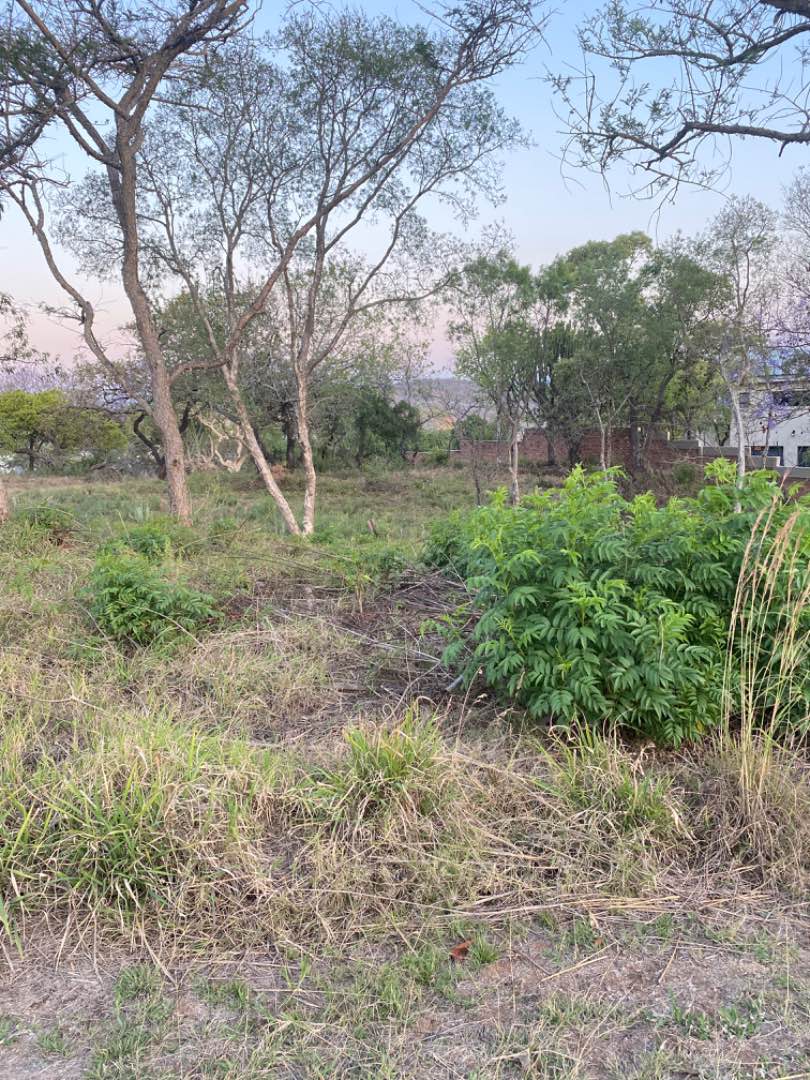 0 Bedroom Property for Sale in Drum Rock Mpumalanga