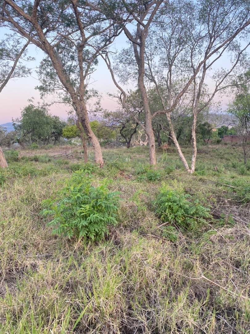 0 Bedroom Property for Sale in Drum Rock Mpumalanga