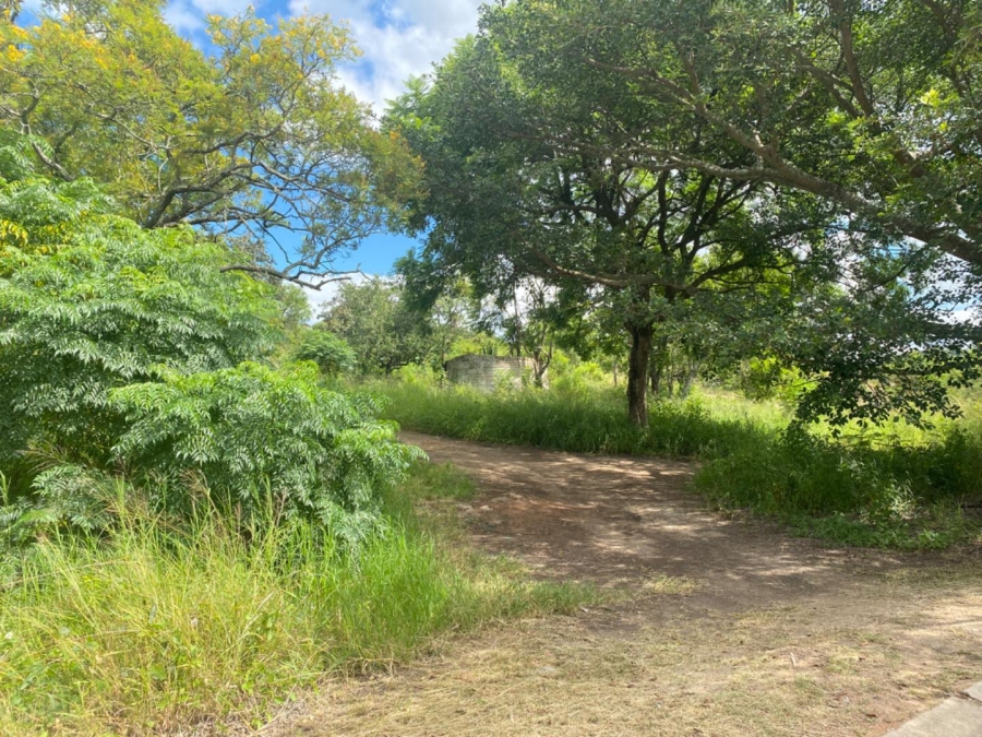 0 Bedroom Property for Sale in Drum Rock Mpumalanga